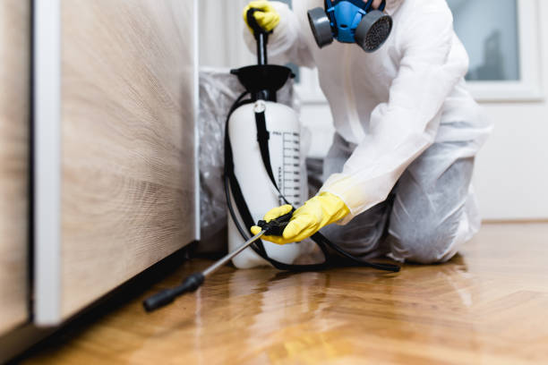 Best Pest Control for Homes  in Vcennes, IN