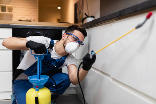 Best Wildlife Control Services  in Vcennes, IN