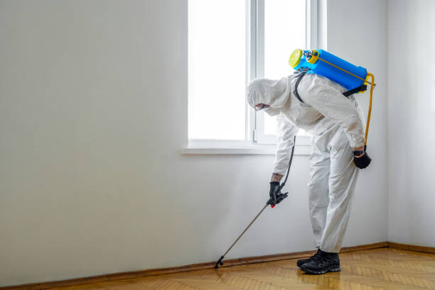 Best Residential Pest Control  in Vcennes, IN