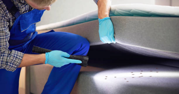 Best Affordable Pest Control Services  in Vcennes, IN