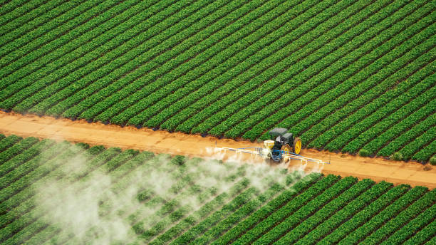 Best Pest Removal Services  in Vcennes, IN