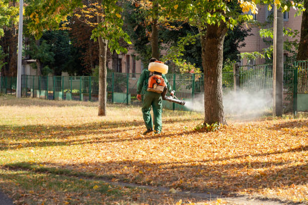 Best Pest Control for Businesses  in Vcennes, IN