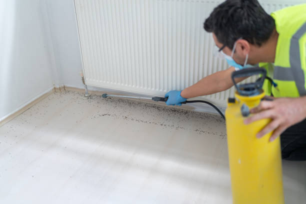 Best Pest Prevention Services  in Vcennes, IN