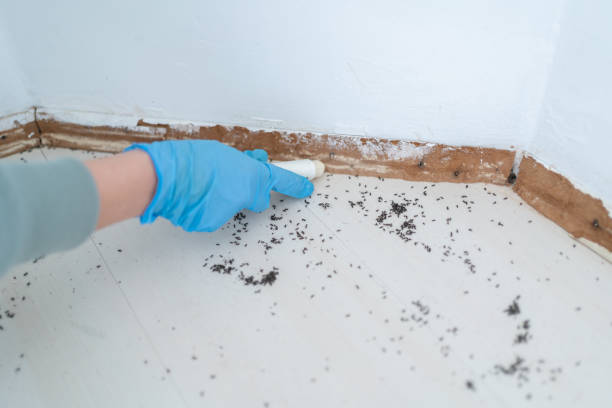 Best Local Pest Control Services  in Vcennes, IN