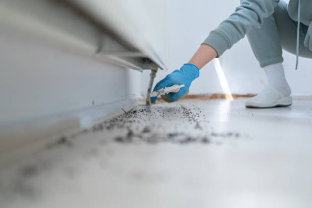 Reliable Vincennes, IN Pest Control Solutions