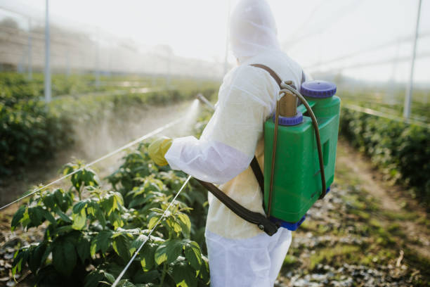 Pest Control Cost in Vincennes, IN